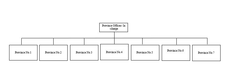 The Institute of Chartered Accountants of Nepal (ICAN) | Organogram